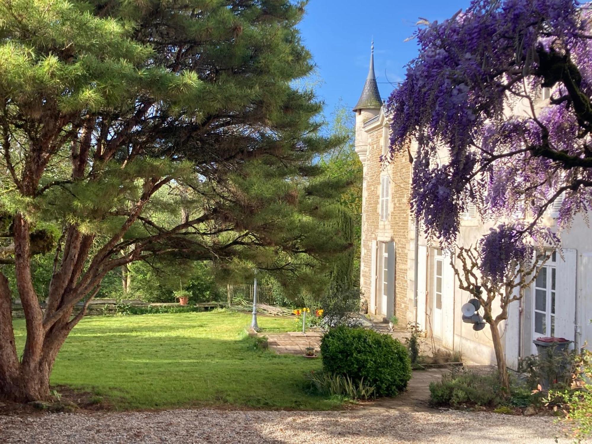 Mazette! Le Chateau 尼奥尔 外观 照片